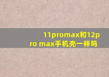 11promax和12pro max手机壳一样吗